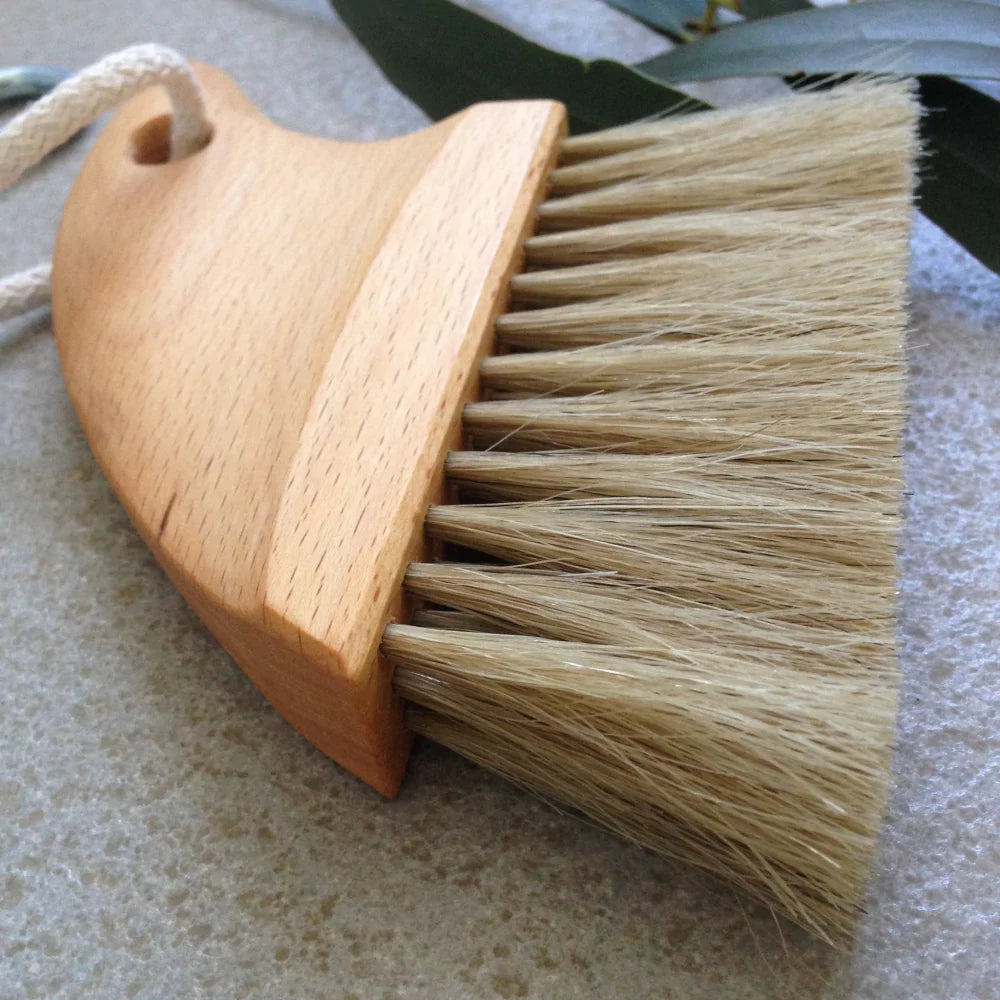 Beech Mussel Brush