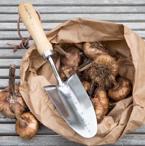 Transplanter Hand Trowel by Burgon & Ball