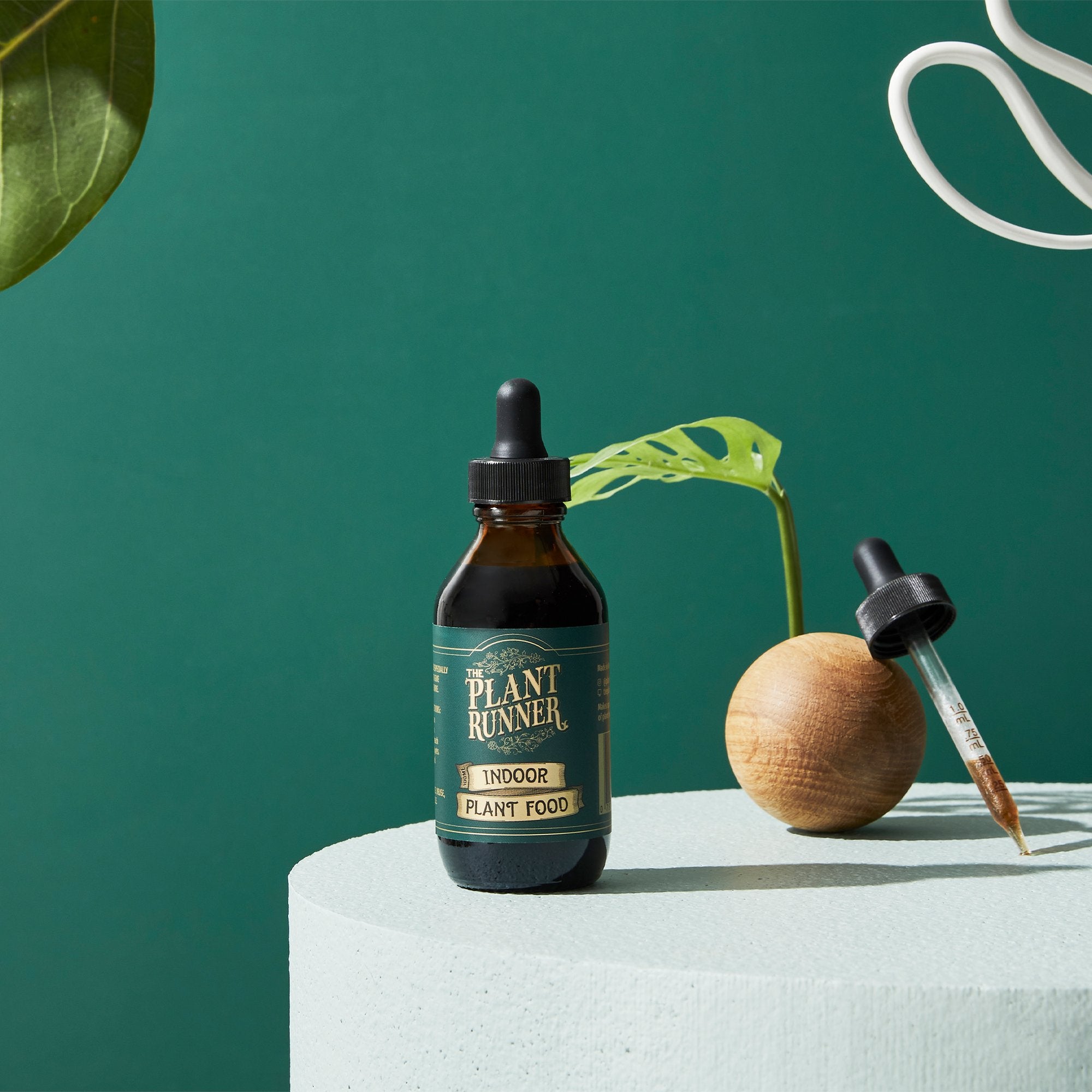 Indoor Plant Food- The Plant Runner