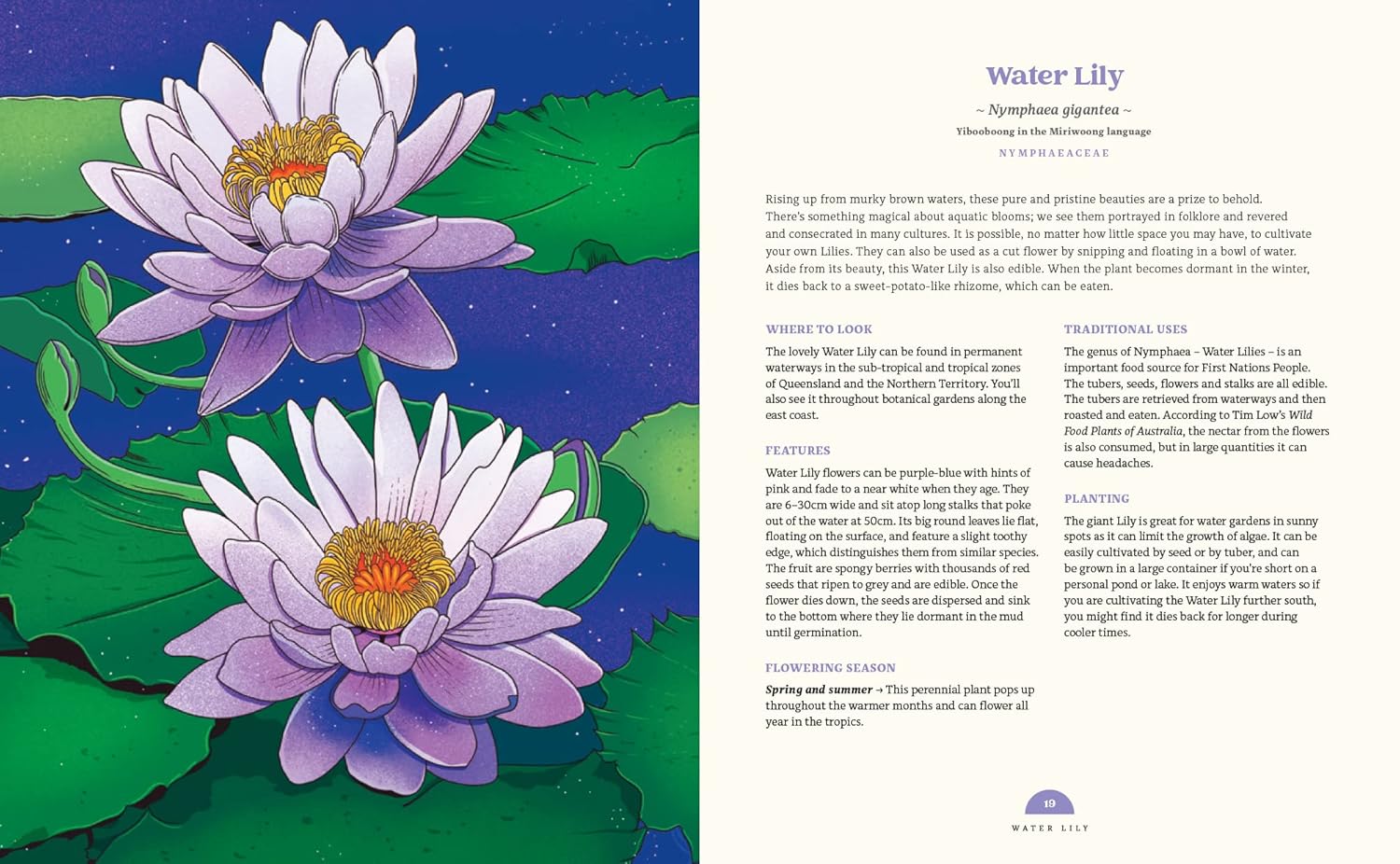 Book - 100 Australian Wildflowers - Mel Baxter