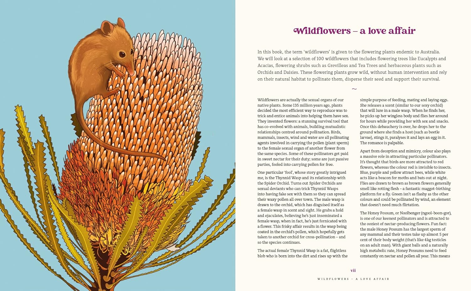 Book - 100 Australian Wildflowers - Mel Baxter