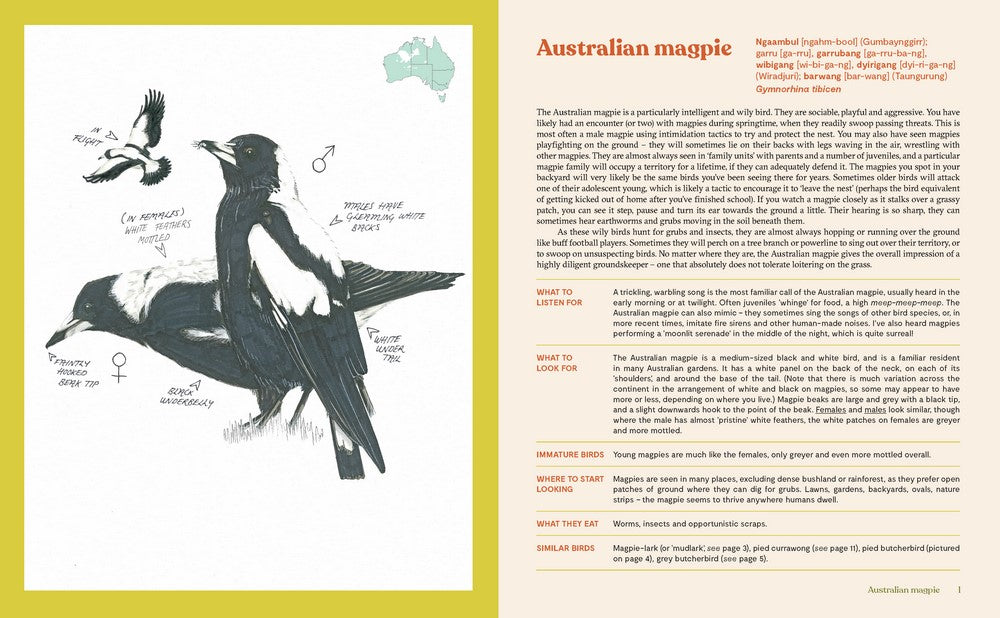 Book - 100 Australian Birds - Georgia Angus
