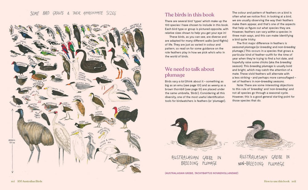 Book - 100 Australian Birds - Georgia Angus