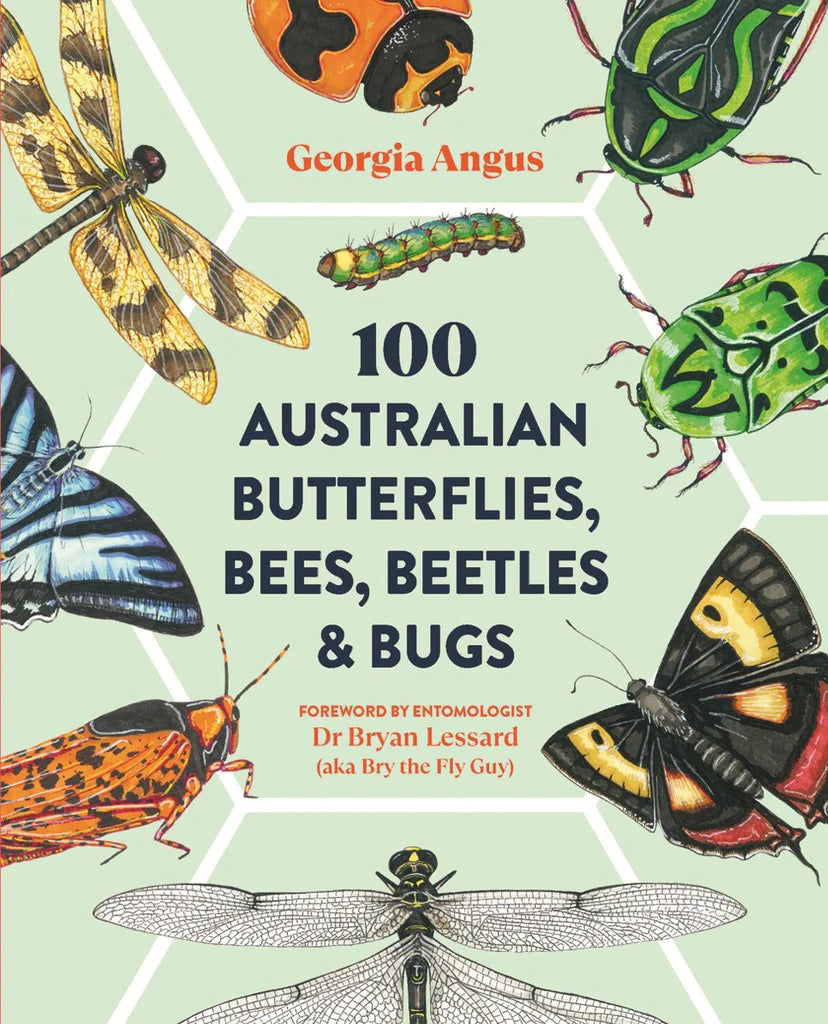 Book - 100 Australian Butterflies, Bees, Beetles and Bugs - Georgia Angus