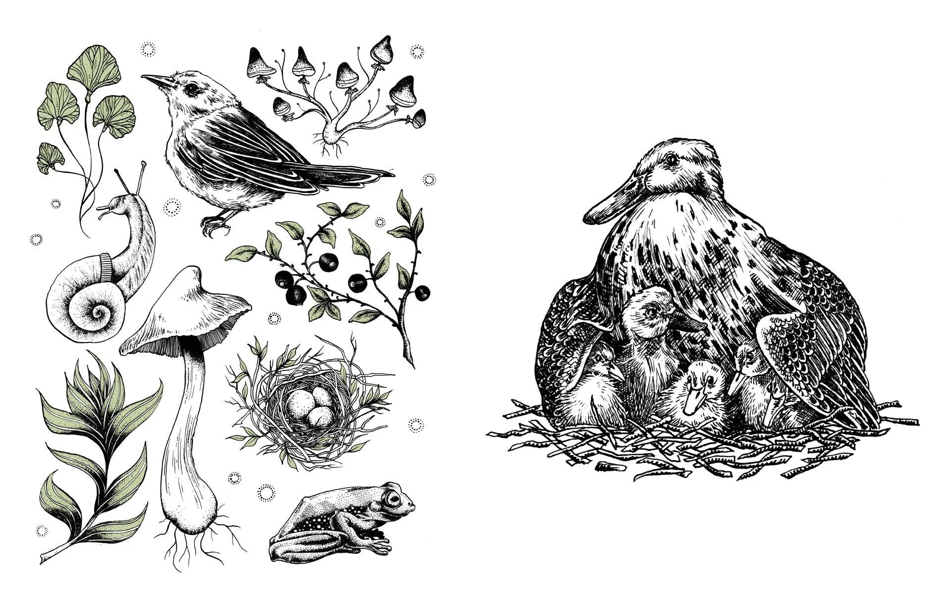 Book - 15 Minute Art: Pen & Ink by Anna Tromop