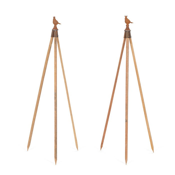 Stake Topper - Royal Birds Cast Iron Rust