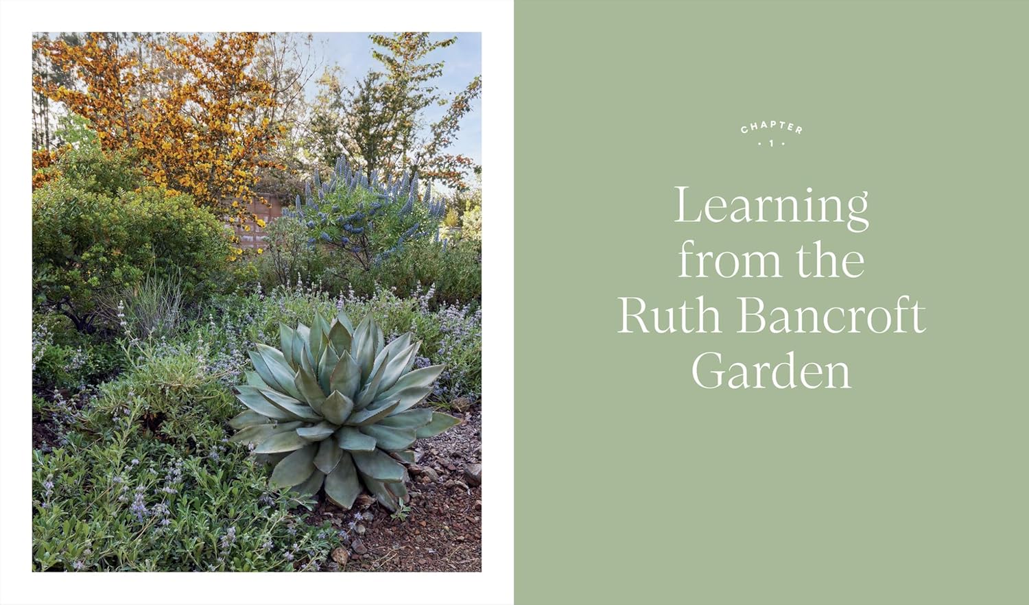 Book - Designing the Lush Dry Garden