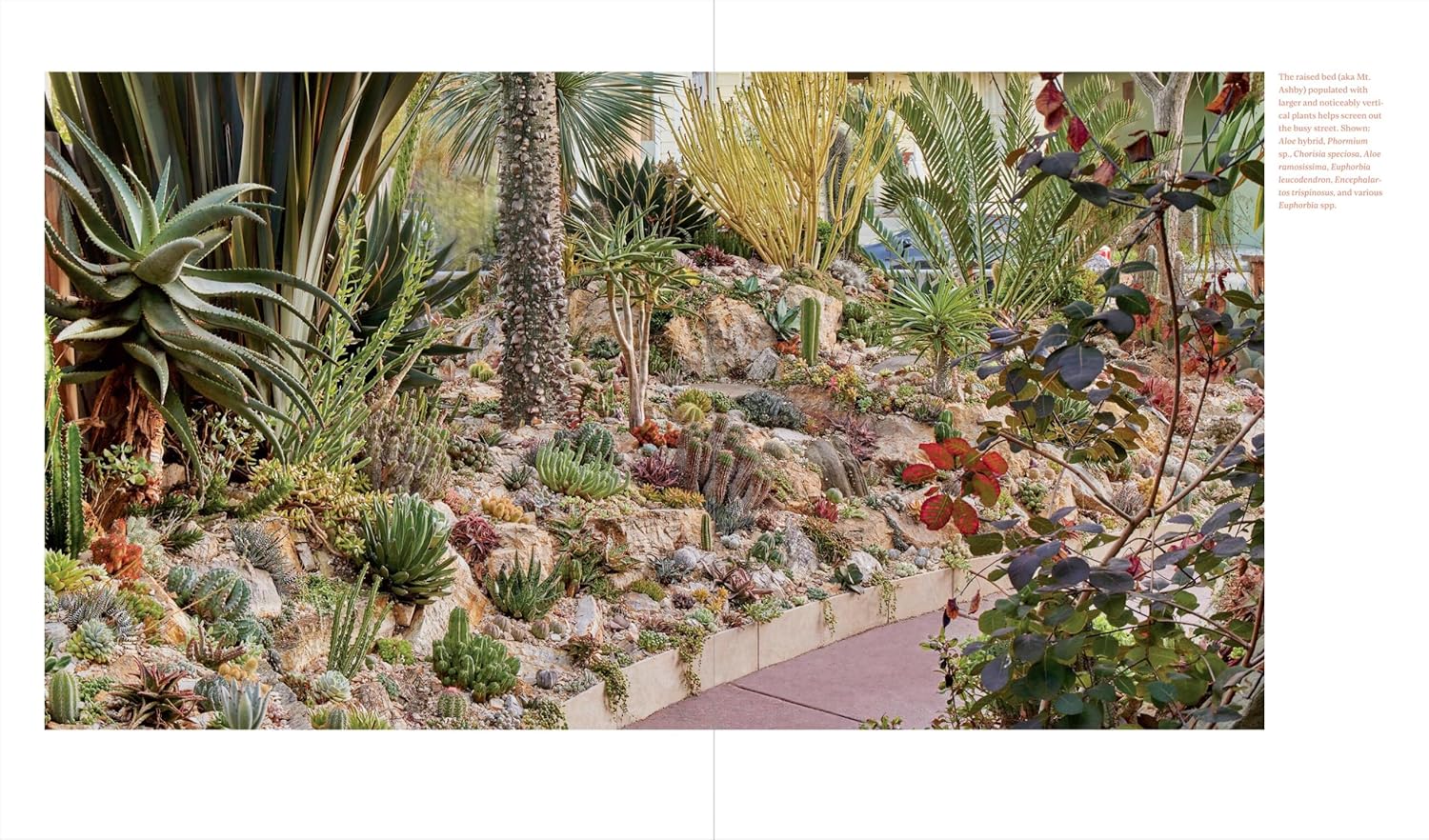 Book - Designing the Lush Dry Garden