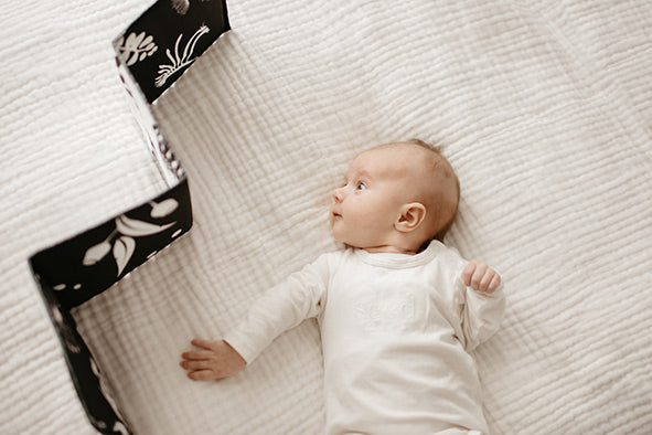 Cloth Book - Wildbaby