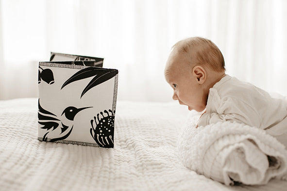 Cloth Book - Wildbaby