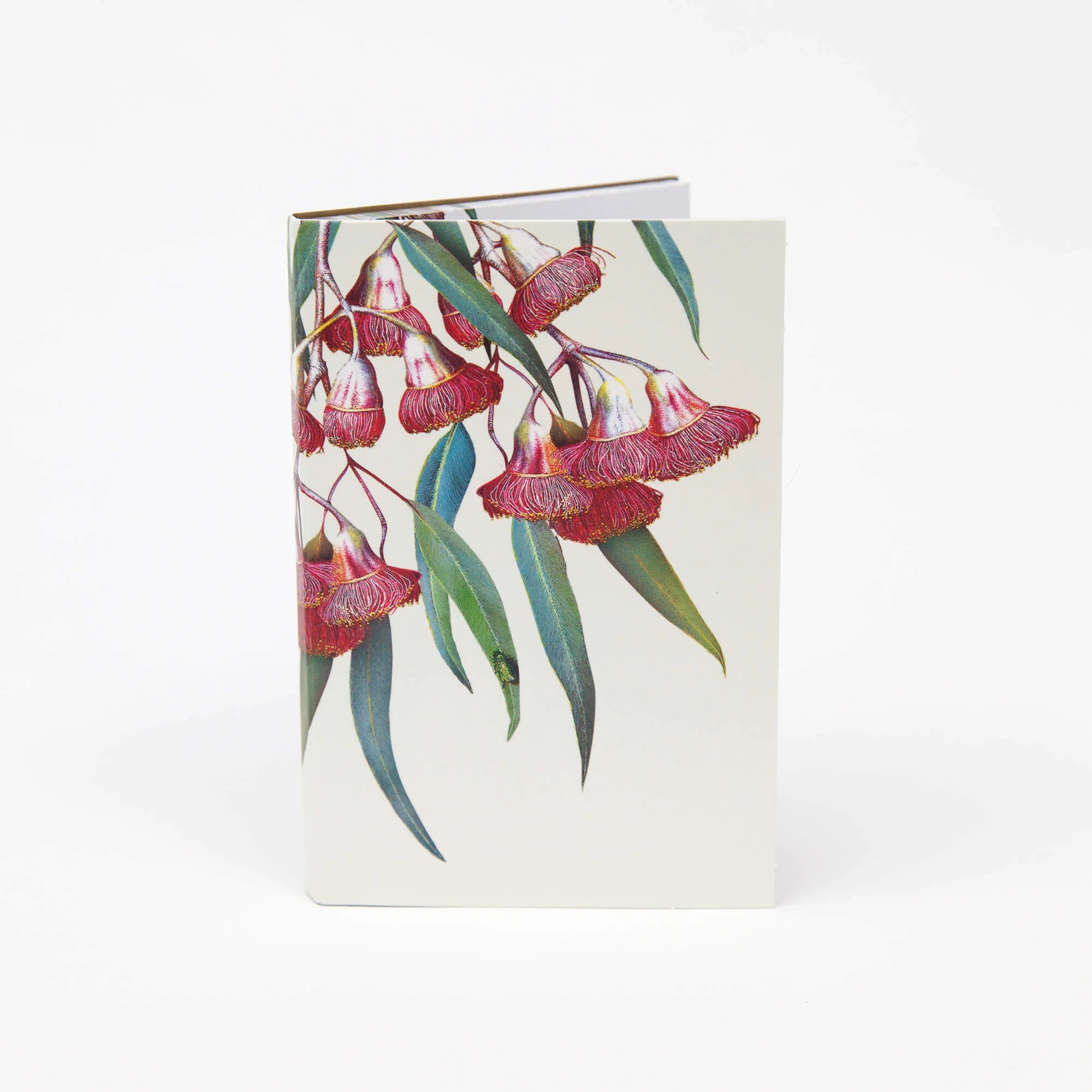 Australian Wildflower - Mini Notepad