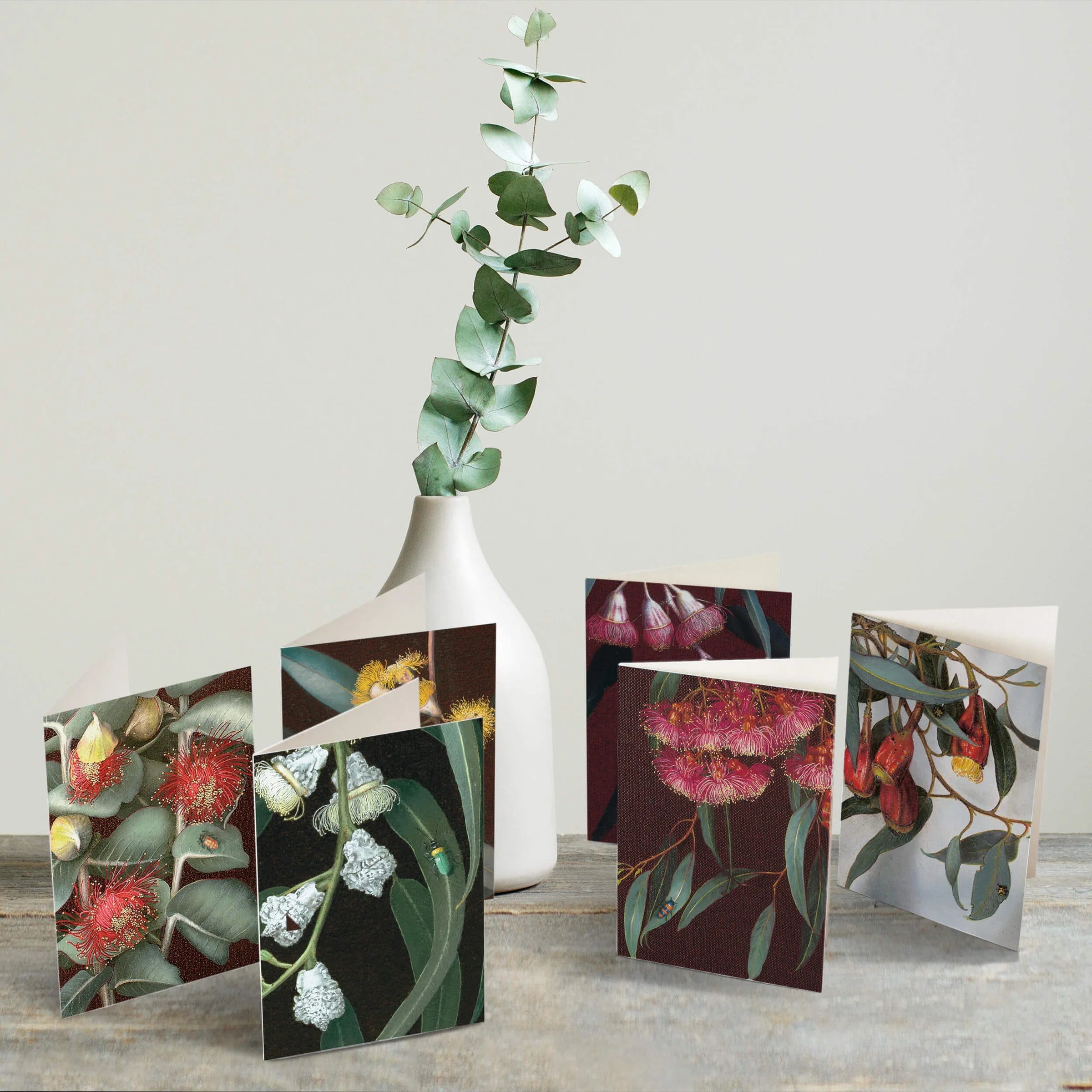 Gum Bug Box Gift Card Set - 6 assorted designs
