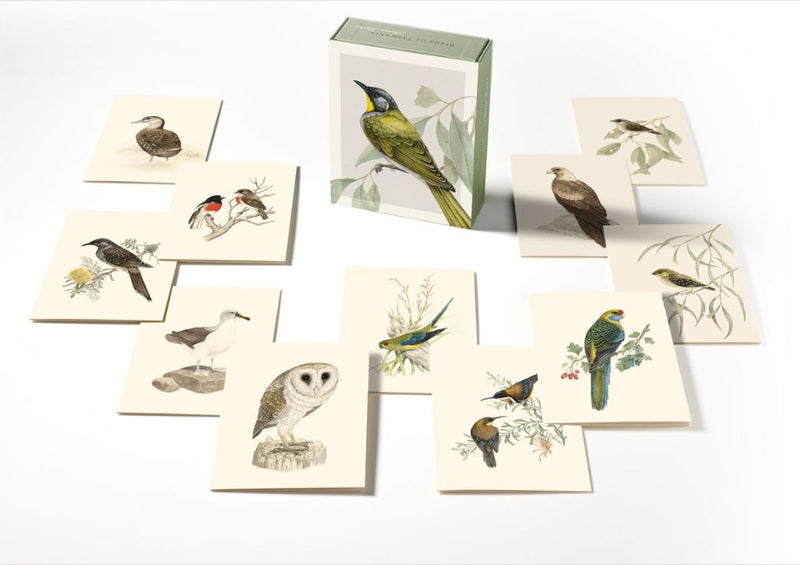 Boxed Card Set - Birds of Tasmania