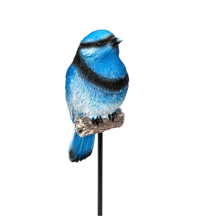 Bird on a Stick Blue Wren