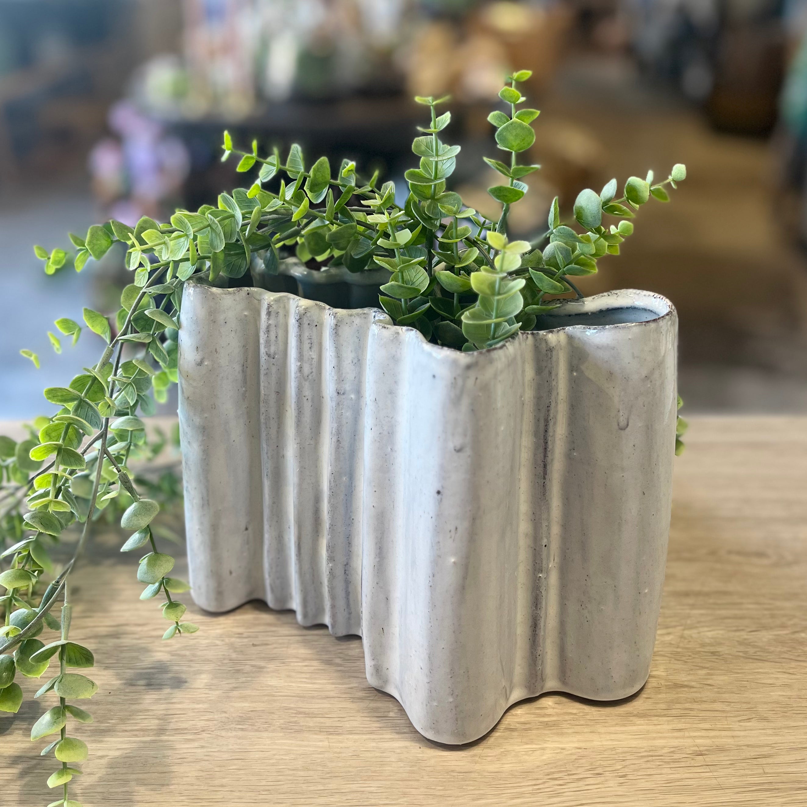 Wavy ceramic vase with green plant on a wooden surface