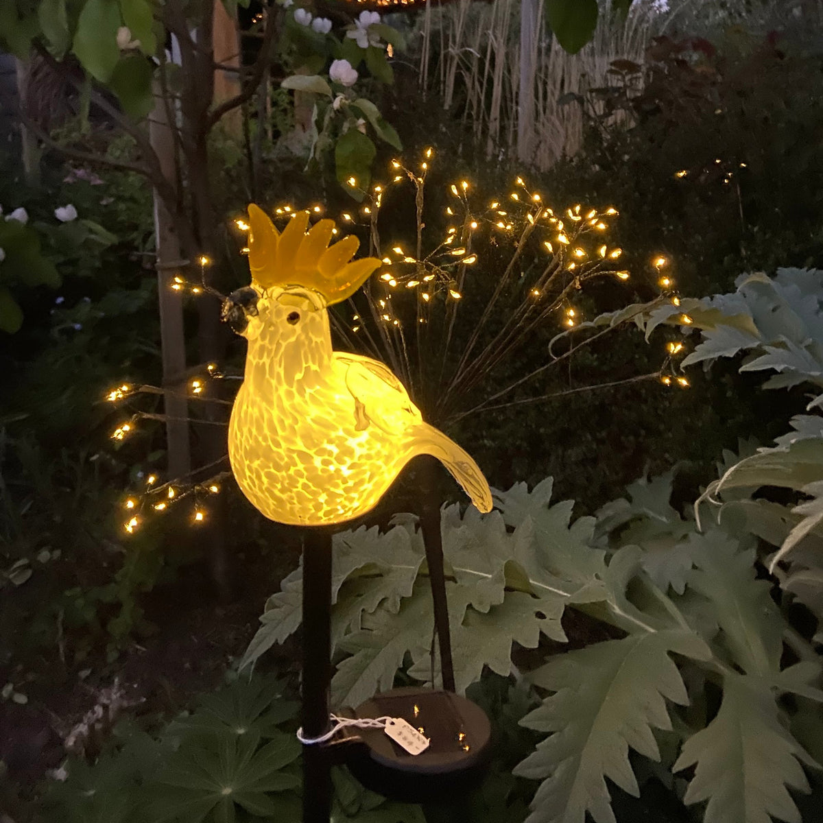 A glowing cockatoo solar garden light mounted on a black stake in a garden with green foliage at dusk.