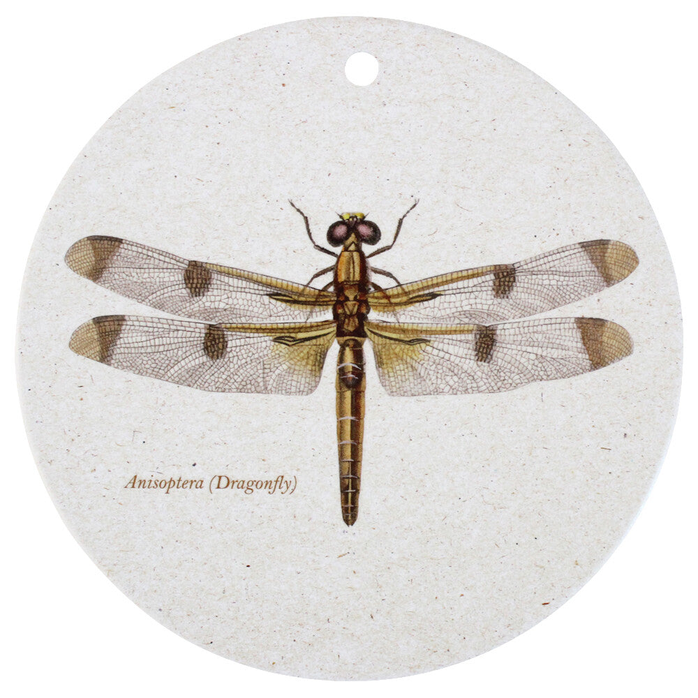 Botanical Wall Plaque/Trivets Five Designs