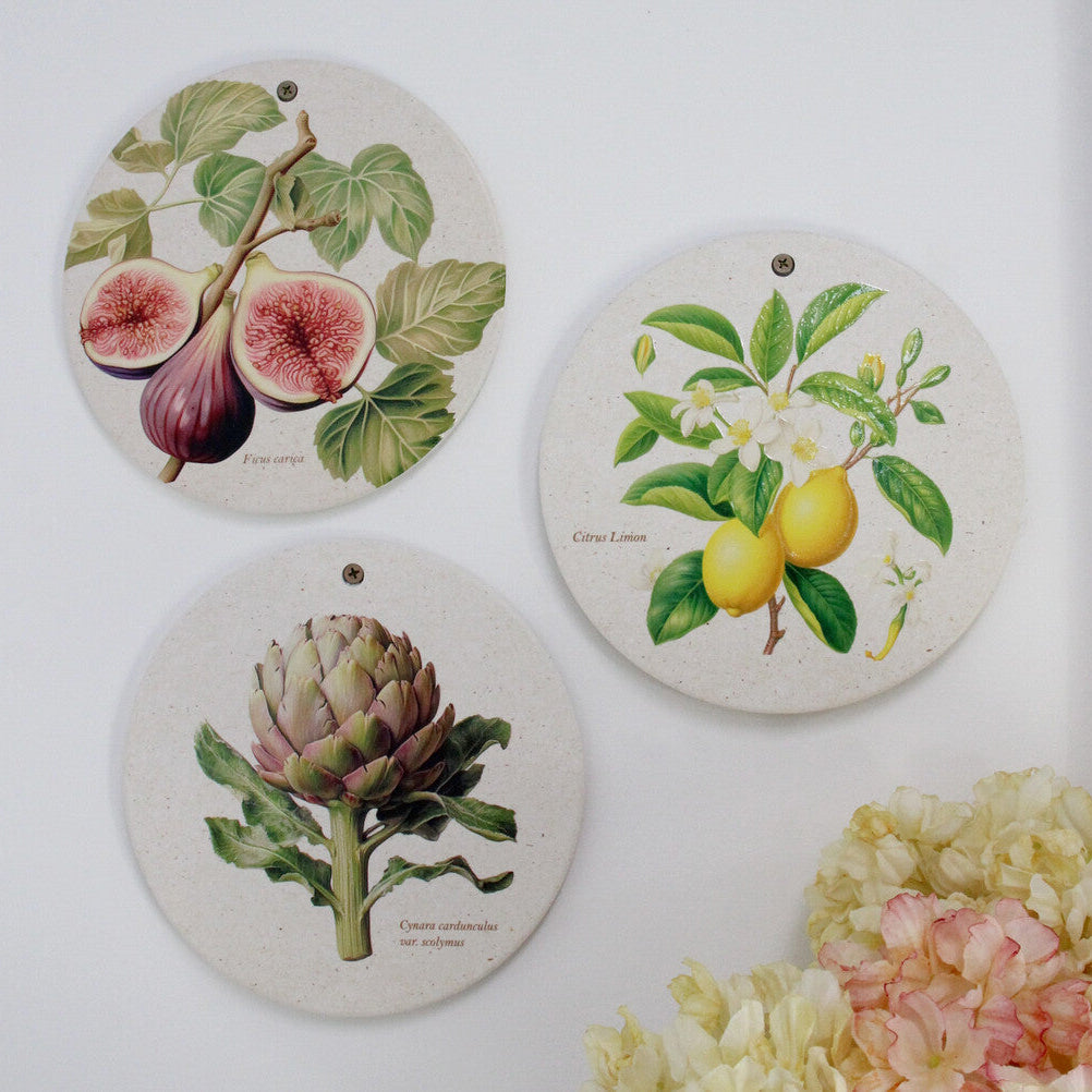 Three circular wall art pieces with botanical illustrations of figs, lemons, and artichokes on a white background.