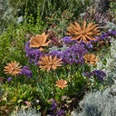 Flower Stake Rusty - Various