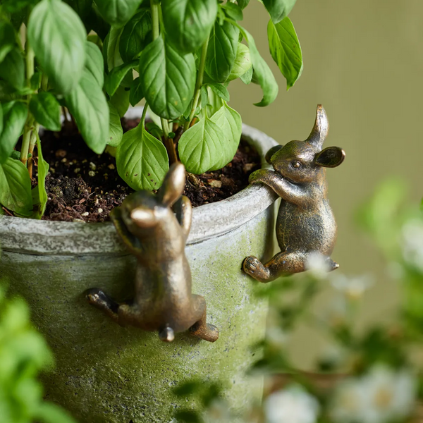 Pot Hanger Bunny