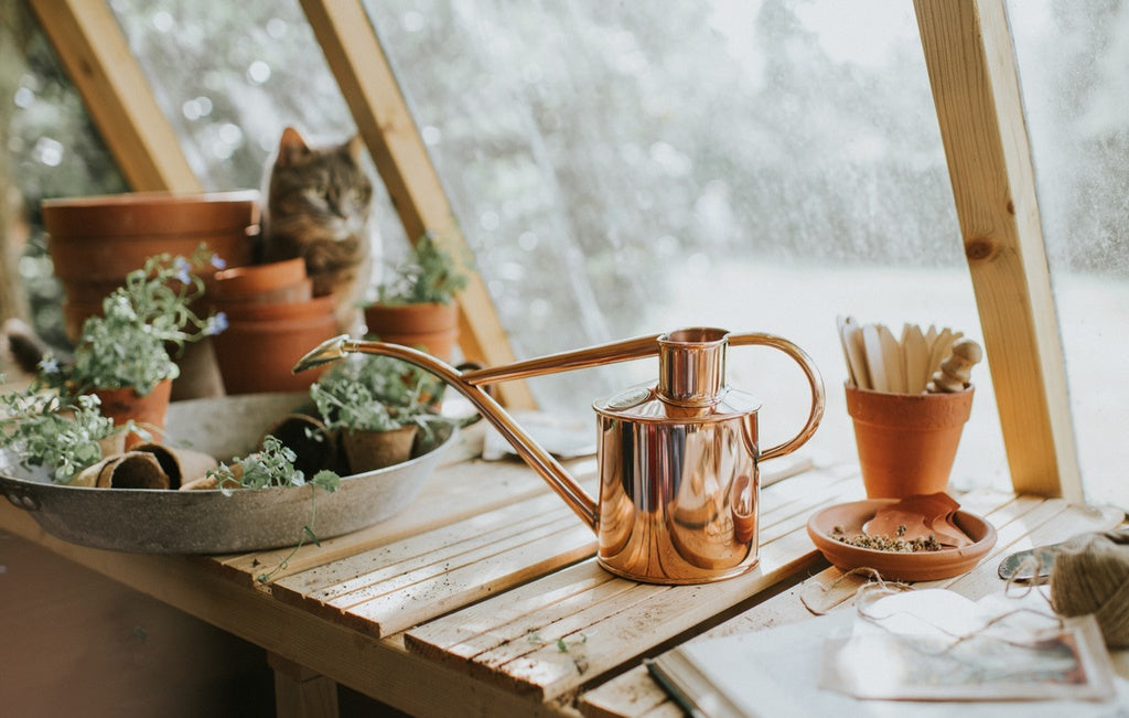 Copper Indoor Watering Can 1.0L