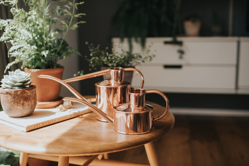 Copper Indoor Watering Can 0.5L - PREORDER NOW FOR END OF OCTOBER