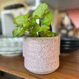 Pot with speckles - soft pink