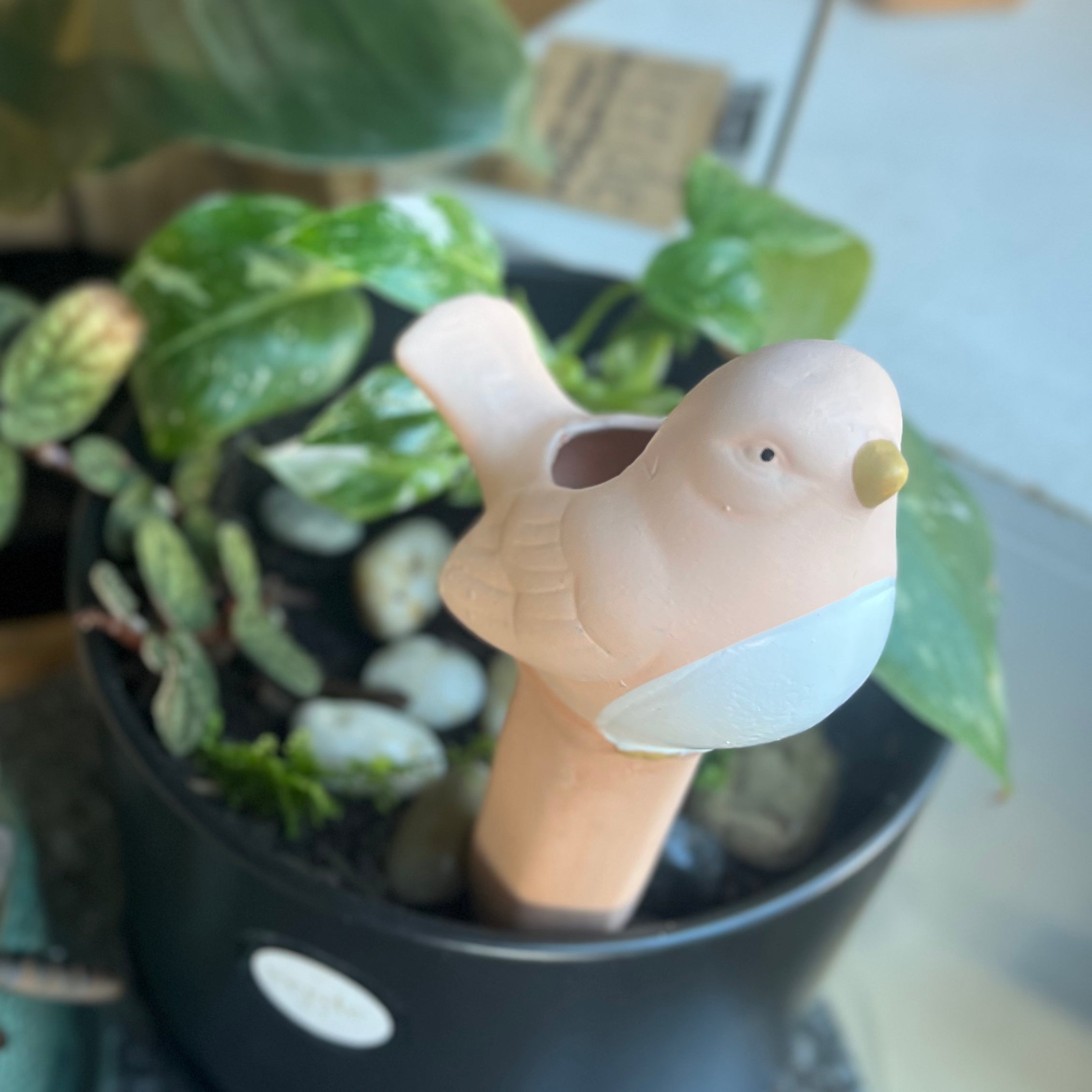 Water Seeper Terracotta - Bird Large
