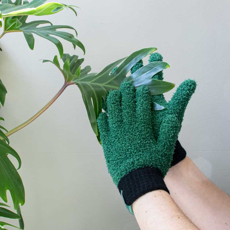 Gloves Leaf Love Green