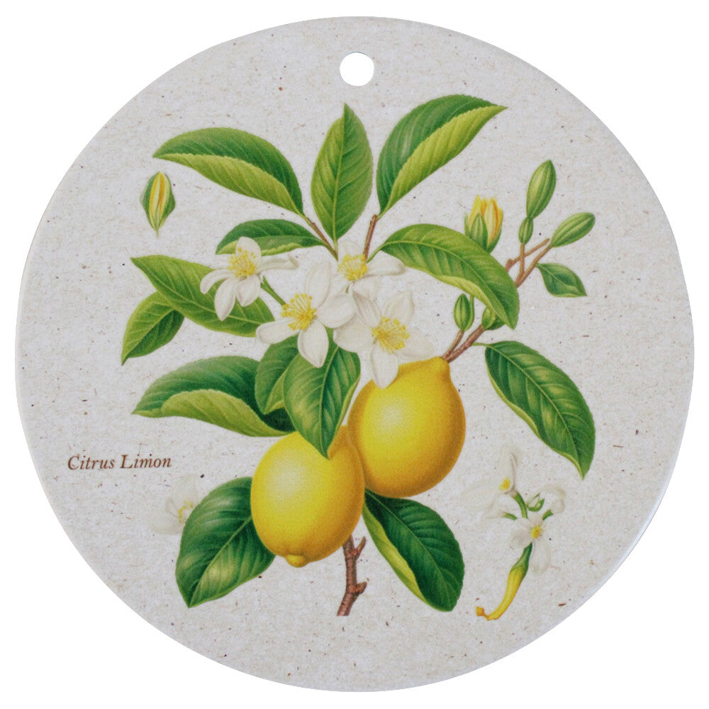 Botanical Wall Plaque/Trivets Five Designs