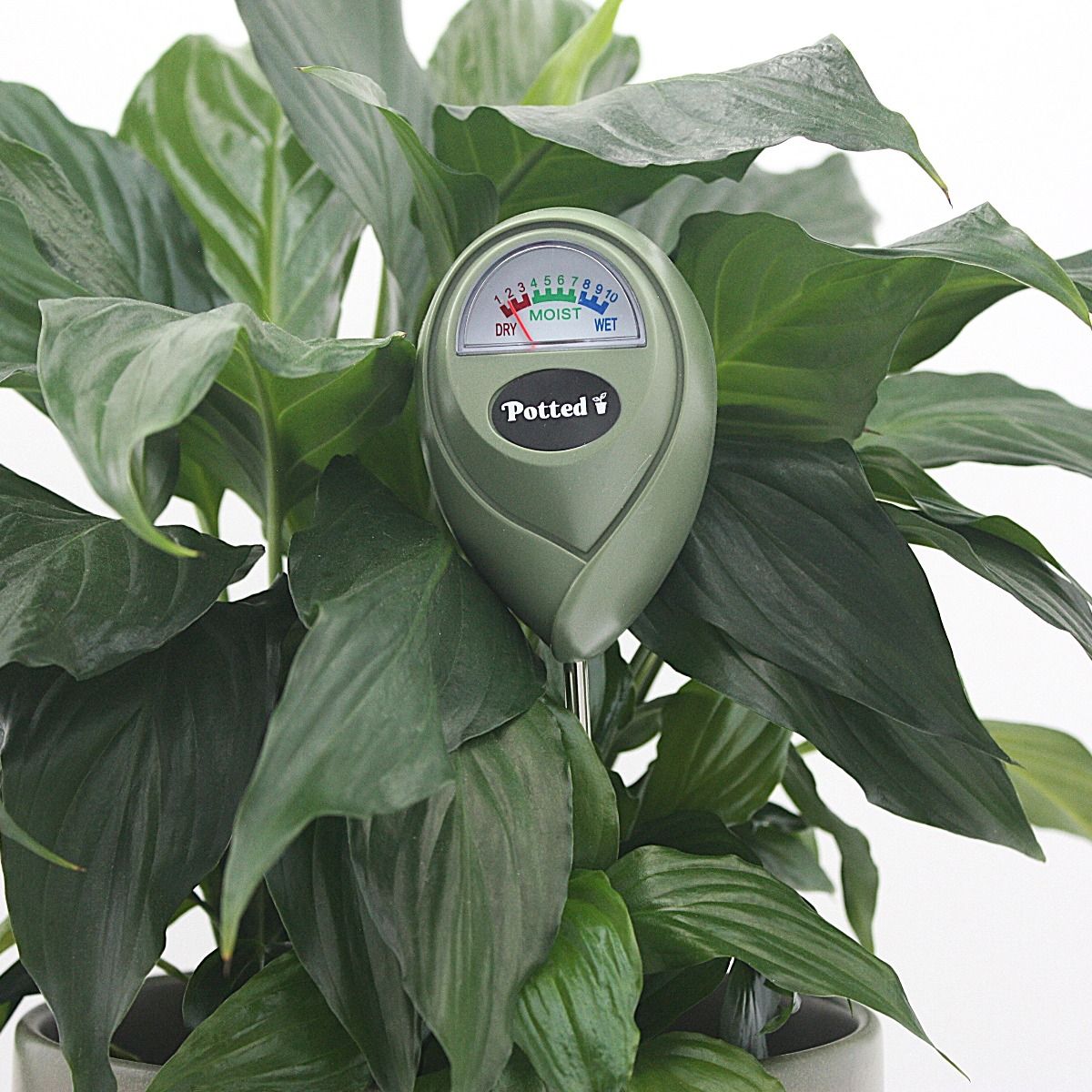 Moisture Meter - Indoor - Jade