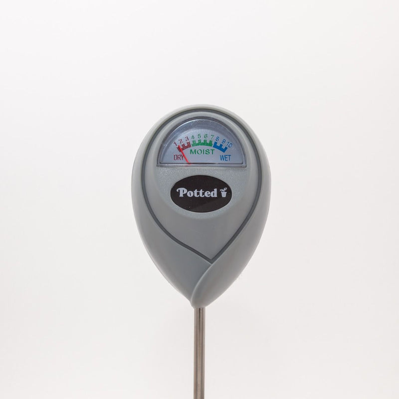 Moisture Meter - Indoor