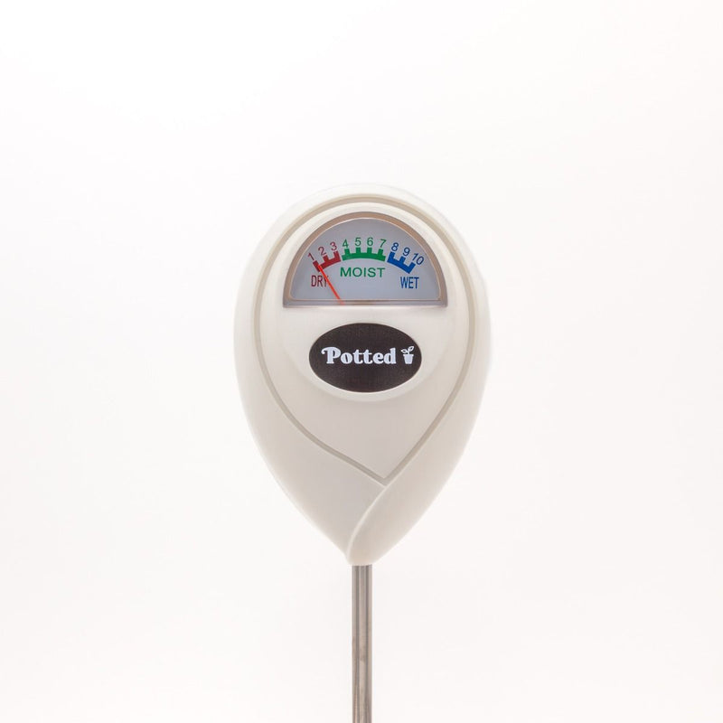 Moisture Meter - Indoor