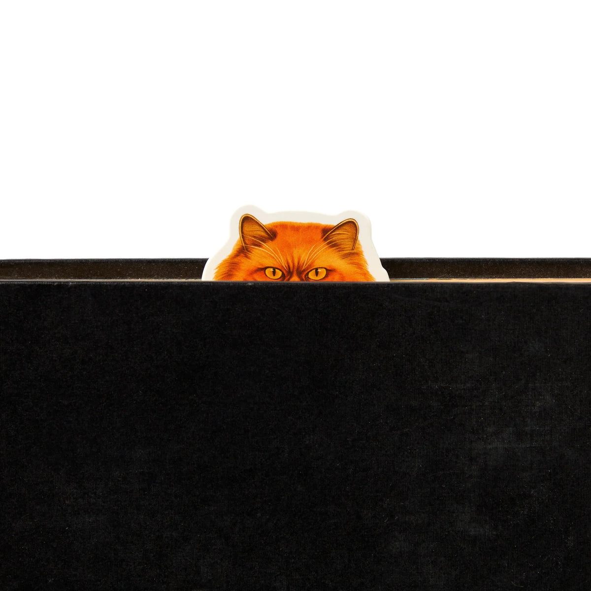 Bookmarks - Magnetic Moody Cats Set of 3