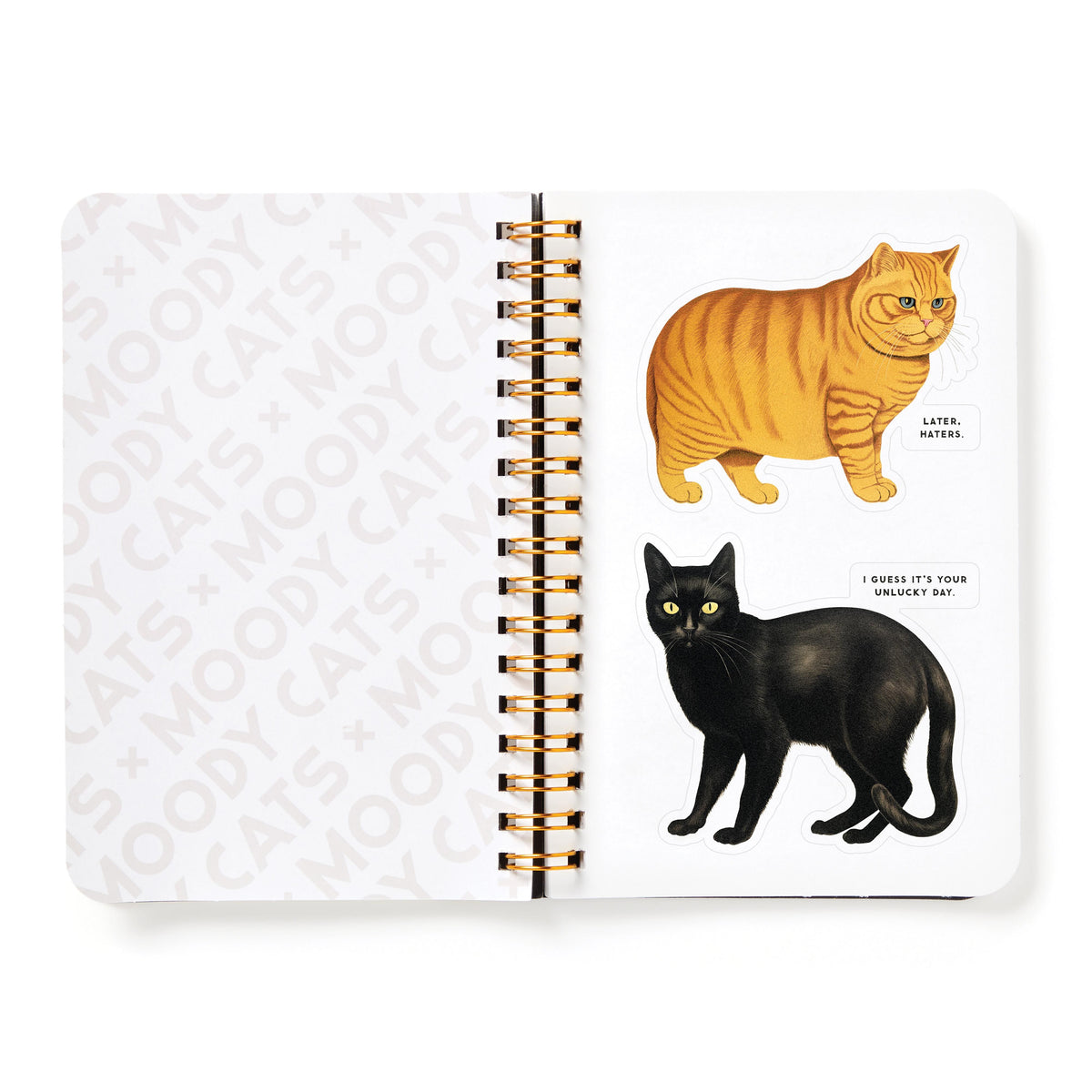 Sticker Book 'Moody Cats'