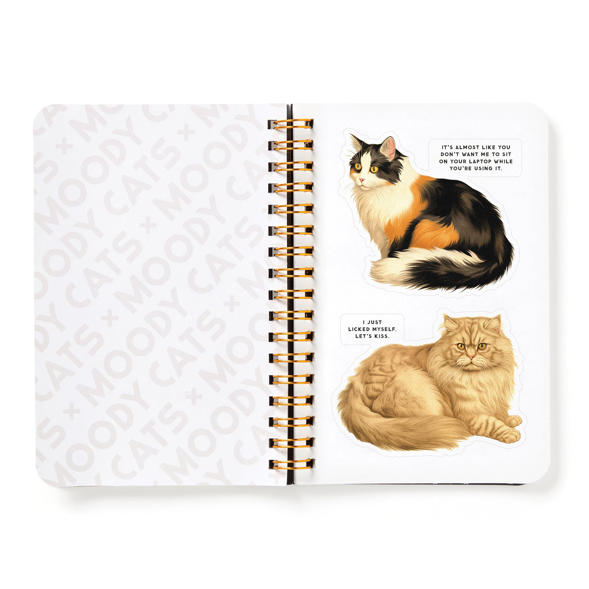 Sticker Book 'Moody Cats'