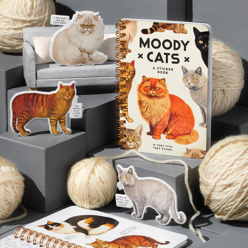 Sticker Book - Moody Cats