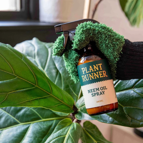 Leaf Love Bundle