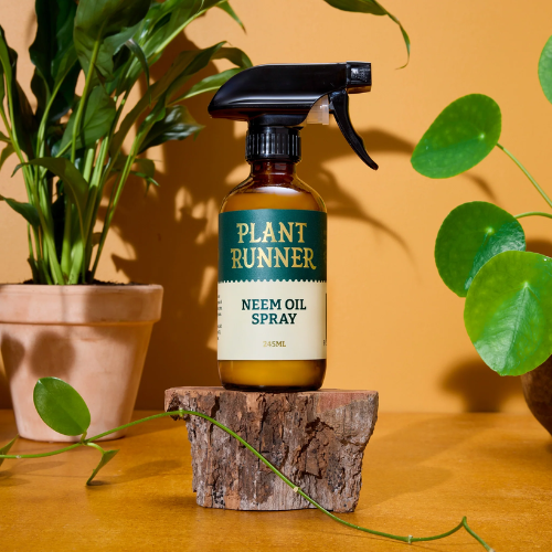 Neem Oil Leaf Shine - The Plant Runner