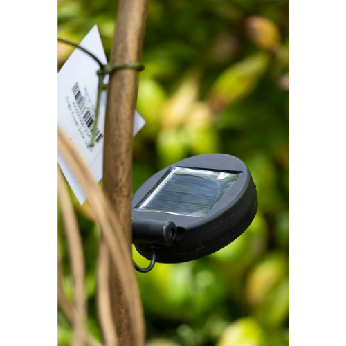 Solar light attached to a branch with a blurred green background