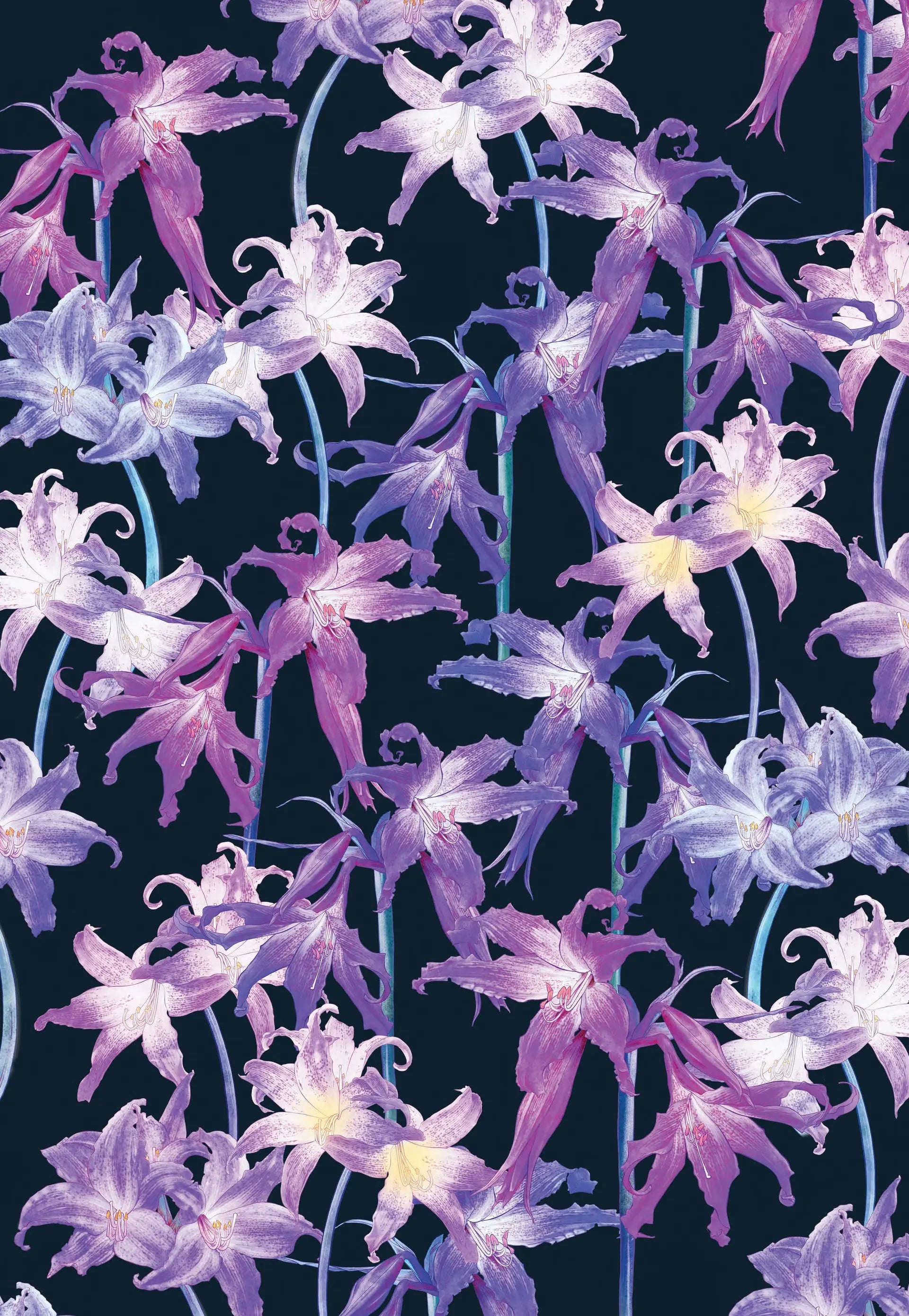 Wrapping Paper Book - Posy by Adriana Picker