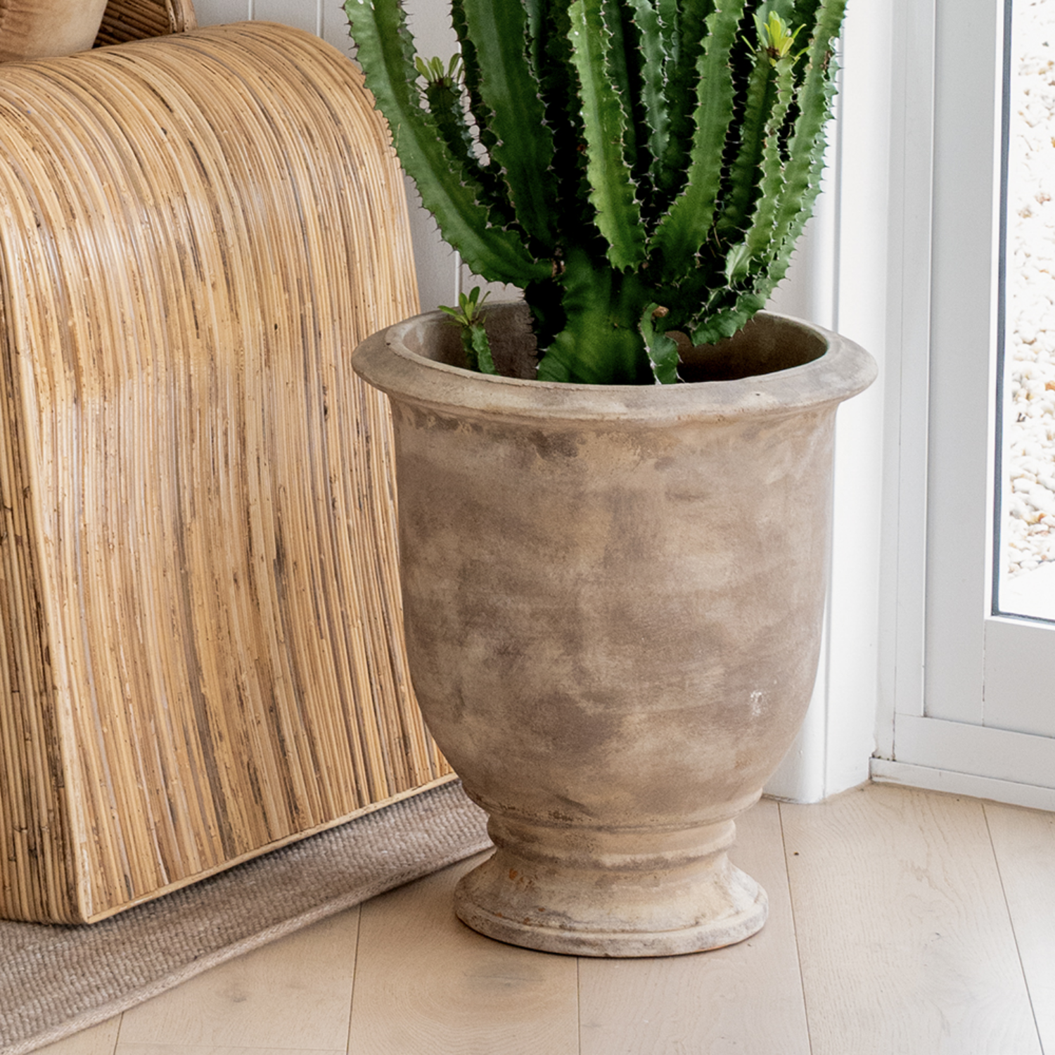 Antique Terracotta Tulip Pot - Available in 2 sizes