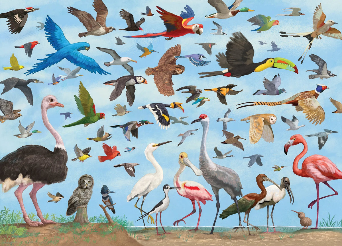 Puzzle - All the Birds 1000 Piece