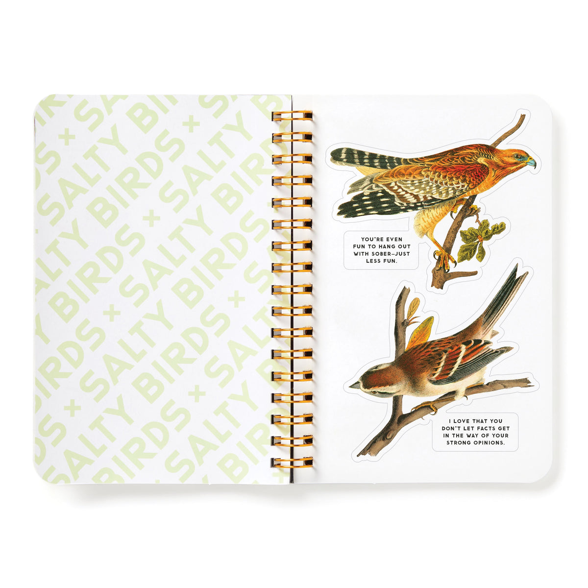 Sticker Book 'Salty Birds'