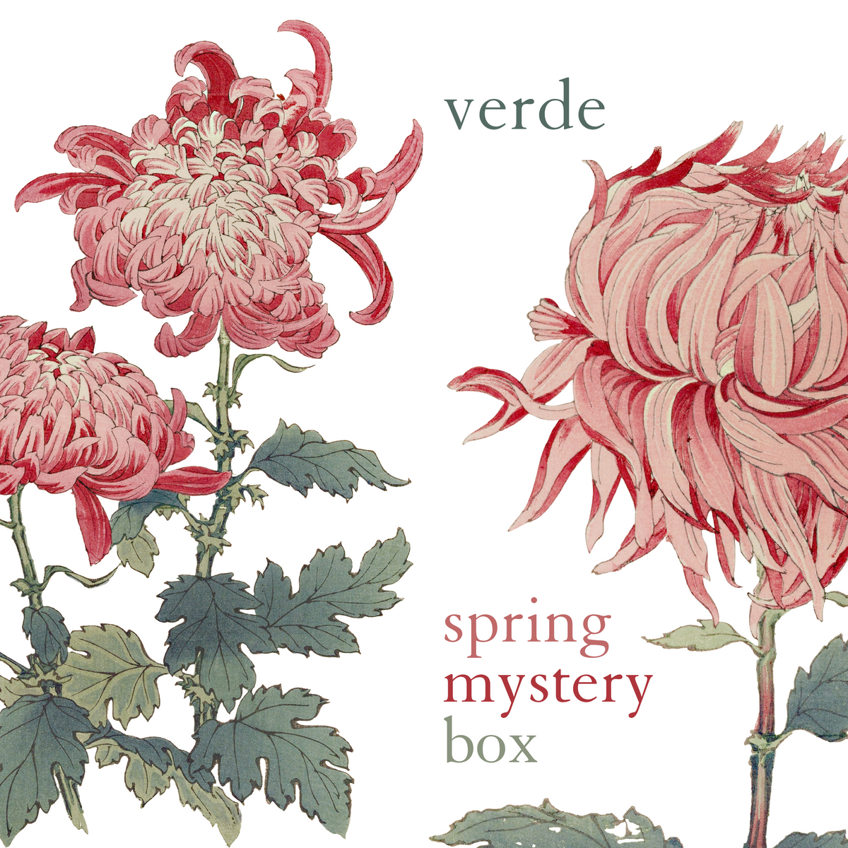 Verde Spring Mystery Gifting Box