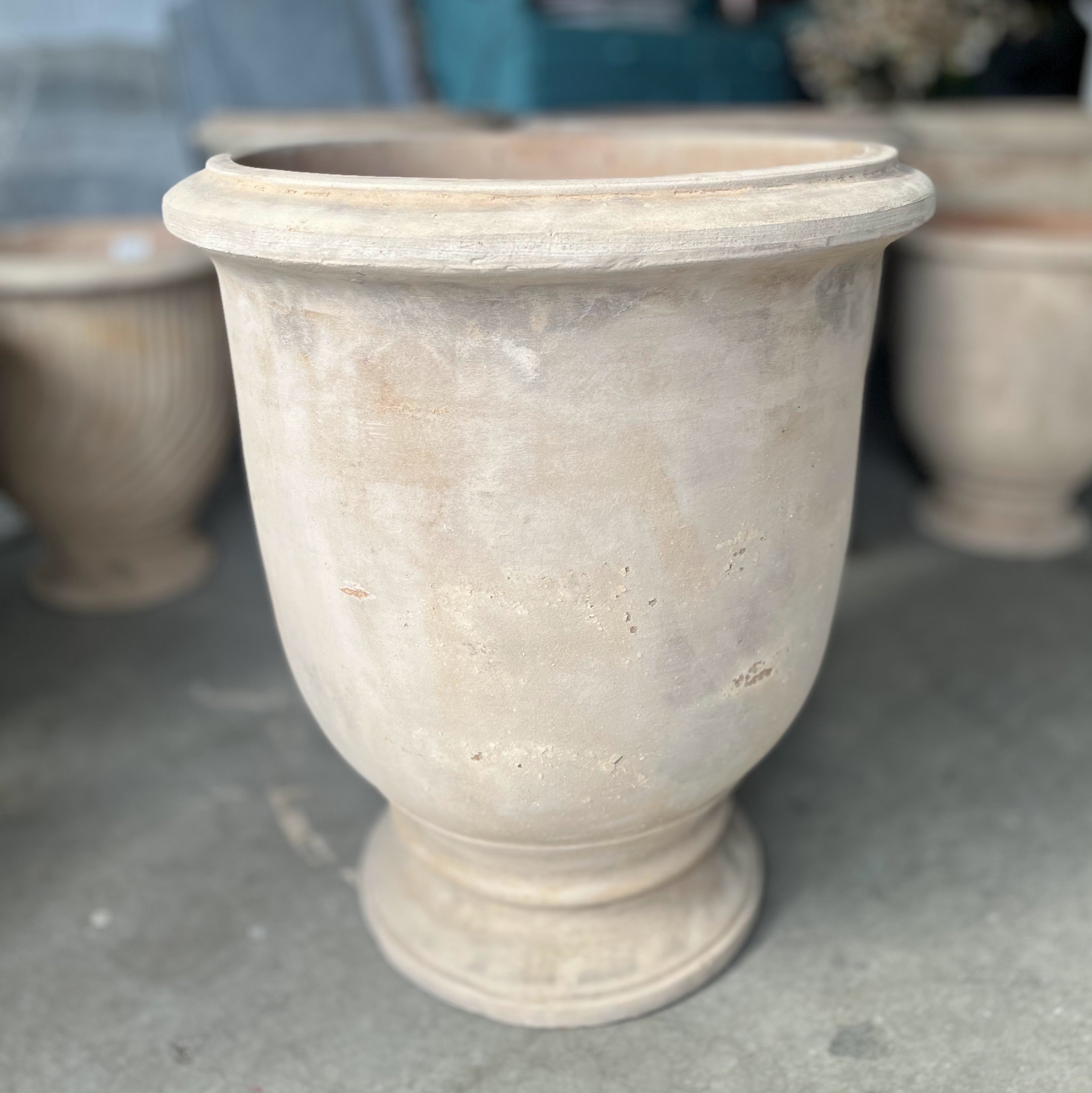 Antique Terracotta Tulip Pot - Available in 2 sizes