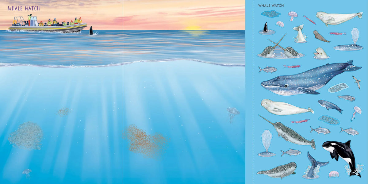Sticker Book - Scenes Under the Sea