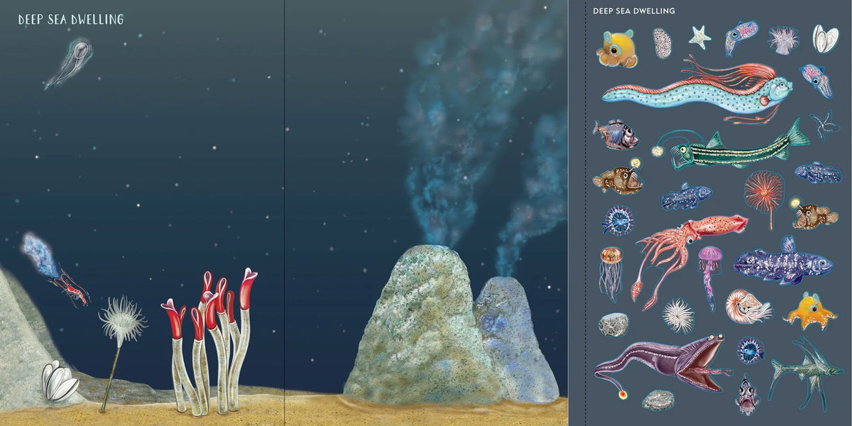 Sticker Book - Scenes Under the Sea