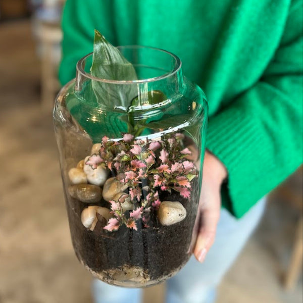 Terrariums - Open