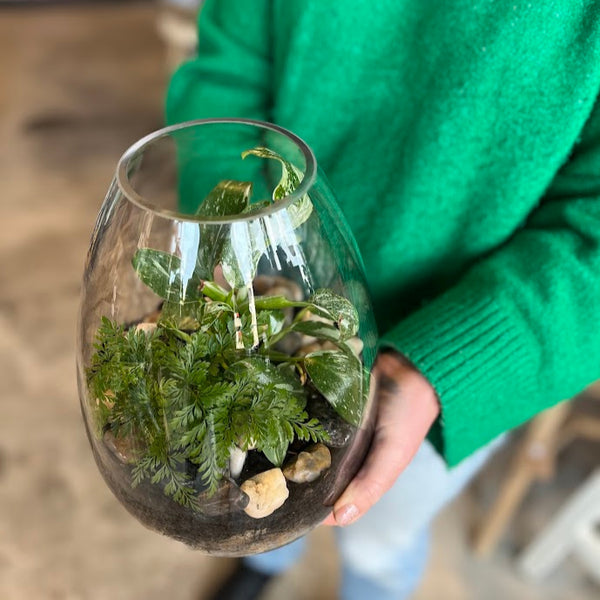 Terrariums - Open